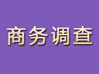 高平商务调查